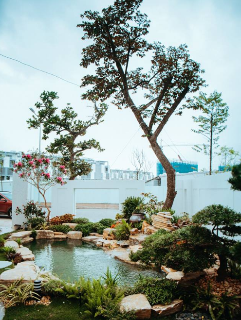 Hồ cá Koi, sân vườn tại Vincom Long Biên